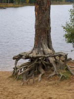 PA060734.JPG (965.68 КБ) 14206 просмотров PA060734.JPG