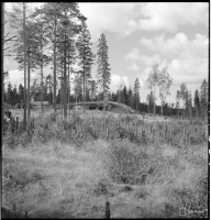 140556.jpg (504.76 КБ) 22025 просмотров 140556.jpg