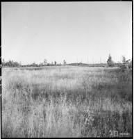 140514.jpg (321.71 КБ) 22810 просмотров 140514.jpg