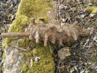 P4232323.JPG (1.21 МБ) 11151 просмотр P4232323.JPG