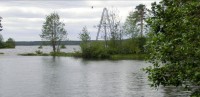 119.jpg