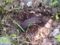 002.jpg (367.26 КБ) 10943 просмотра 002.jpg