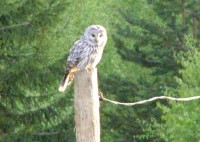 P5162402.JPG (257.33 КБ) 16007 просмотров P5162402.JPG