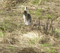 P5022335.JPG (380.32 КБ) 16712 просмотров P5022335.JPG