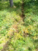 IMG_20160701_120402.jpg (113.81 КБ) 12343 просмотра IMG_20160701_120402.jpg