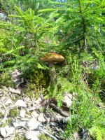 IMG_20160701_095744.jpg (105.19 КБ) 12327 просмотров IMG_20160701_095744.jpg