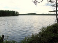 IMG_0367_1.JPG