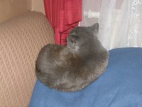 P1290161.JPG (1.15 МБ) 14546 просмотров P1290161.JPG