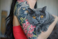 CbHFwqmhBXI.jpg (181.7 КБ) 14530 просмотров CbHFwqmhBXI.jpg