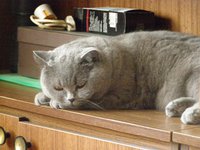 P6151780.JPG (859.43 КБ) 14513 просмотров P6151780.JPG