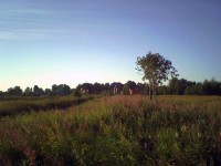SP_A0076.jpg