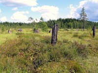 IMG_1714.JPG