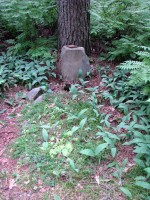 270709 014_exposure.jpg (270.58 КБ) 27935 просмотров 270709 014_exposure.jpg