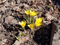 003.jpg (279.57 КБ) 21482 просмотра 003.jpg