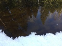 IMG-20190406-WA0000.jpg (85.08 КБ) 21335 просмотров IMG-20190406-WA0000.jpg