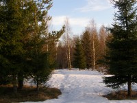 P4060561.JPG (272.63 КБ) 21414 просмотров P4060561.JPG