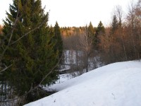 P4060567.JPG (225.48 КБ) 21407 просмотров P4060567.JPG