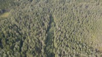 DJI_0182.JPG