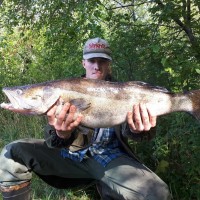 IMG_20190825_180052_938.jpg (205.08 КБ) 21563 просмотра IMG_20190825_180052_938.jpg