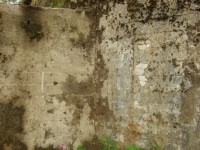 DSCF88971.jpg
