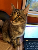 C5E7F417-4AE1-432A-8087-B48C5E685A8C.jpeg (342.97 КБ) 4918 просмотров C5E7F417-4AE1-432A-8087-B48C5E685A8C.jpeg