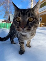 ED63356A-0611-477C-AE65-786E48FDD7C5.jpeg (298.92 КБ) 4660 просмотров ED63356A-0611-477C-AE65-786E48FDD7C5.jpeg