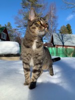 82279915-58D3-47F1-9989-121B5DD6EBE6.jpeg (359.59 КБ) 4742 просмотра 82279915-58D3-47F1-9989-121B5DD6EBE6.jpeg