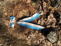 46CB9B58-DE19-499F-9651-646BD3AC71B6.jpeg (847.63 КБ) 4259 просмотров 46CB9B58-DE19-499F-9651-646BD3AC71B6.jpeg