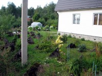 200809 010.jpg
