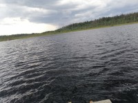 IMG_20240707_170619.jpg