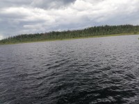 IMG_20240707_170618.jpg