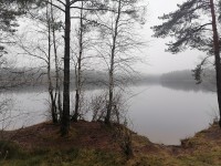 IMG_20241130_152601.jpg
