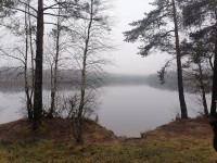 IMG_20241130_152556.jpg
