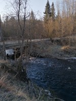 IMG_20250427_070135.jpg (465.01 КБ) 1501 просмотр IMG_20250427_070135.jpg