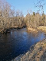 IMG_20250427_070127.jpg (409.53 КБ) 1954 просмотра IMG_20250427_070127.jpg