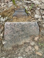 IMG_20250810_134632.jpg