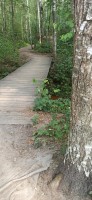 IMG_20250810_144112.jpg