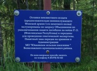 DSC02226.JPG