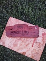 IMG_20250907_200740.jpg