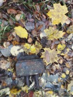 IMG_20251012_121820.jpg