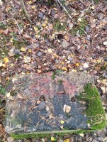 IMG_20251012_122332.jpg