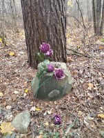 IMG_20251012_122422.jpg
