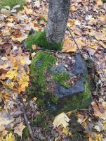 IMG_20251012_122801.jpg