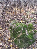 IMG_20251012_122858.jpg