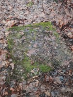 IMG_20251220_132307.jpg (384.61 КБ) 429 просмотров IMG_20251220_132307.jpg