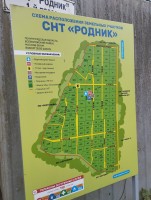 IMG_20250511_120458.jpg