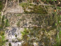 DSCF05771.jpg