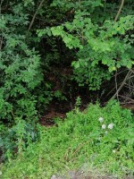 IMG_20260628_082710.jpg