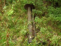 DSCF03891.jpg