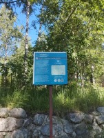 IMG_20260710_101904.jpg